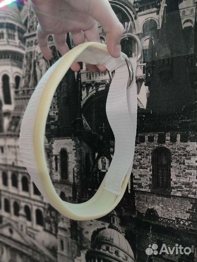 Ошейник удавка