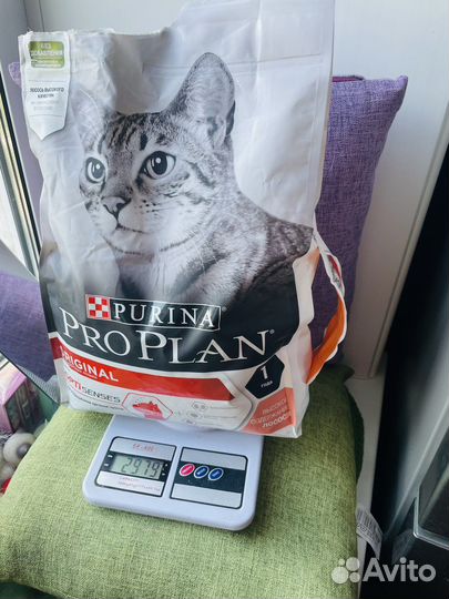 Корм для кошек