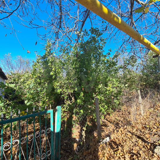 Участок 5 сот. (ИЖС)