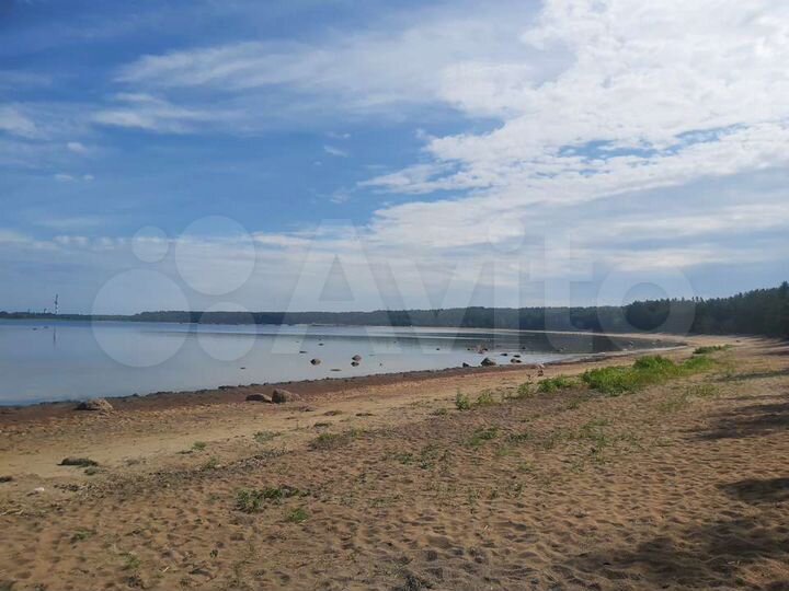 Участок 5,8 сот. (СНТ, ДНП)