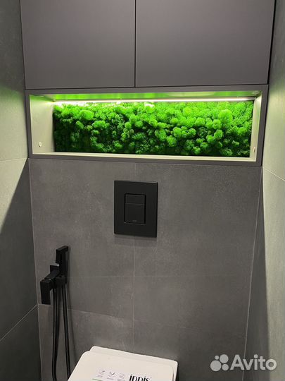 Стабилизированный мох