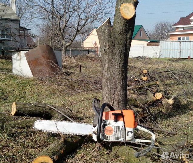 Спил деревьев