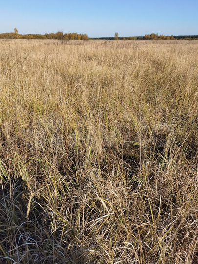 Участок 14 га (СНТ, ДНП)