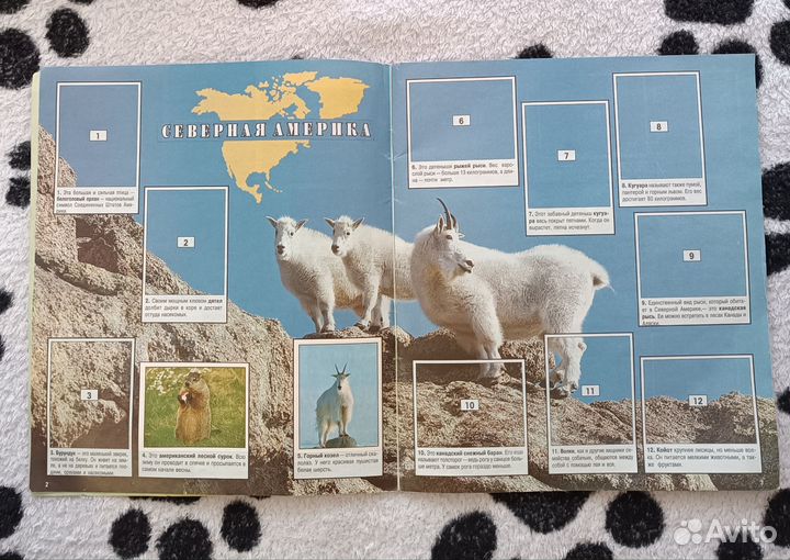 Альбомы для коллекционирования