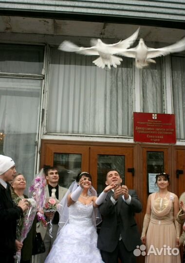 Свадебная видео фото съёмка