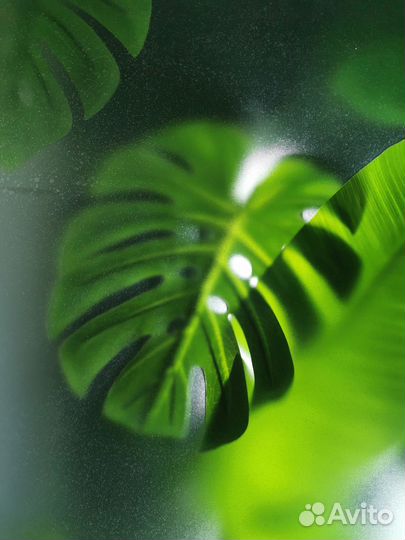 Тропическая стена