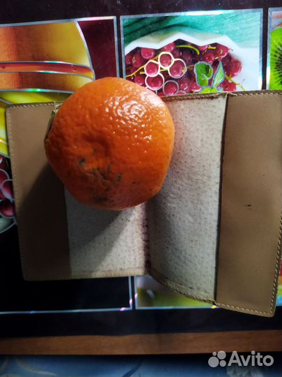 Обложка для паспорта СССР