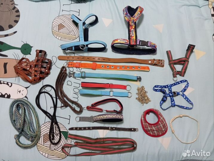 Одежда для средних собак