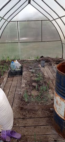 Участок 6,5 сот. (СНТ, ДНП)