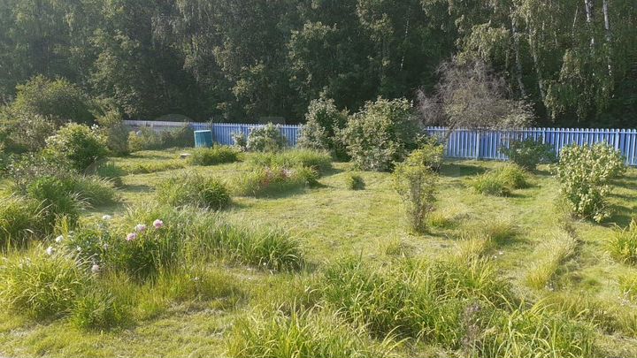 Дача 50 м² на участке 10 сот.