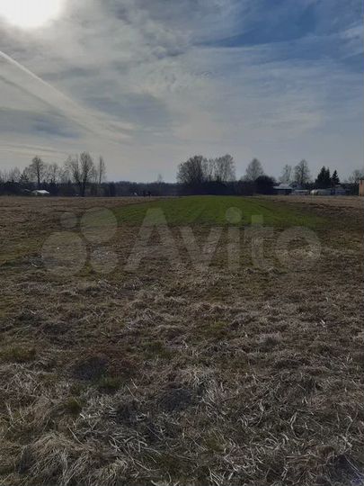 Участок 55 сот. (ИЖС)