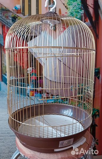 Клетка для волнистого попугая
