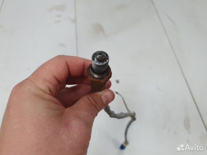 Датчик кислородный Ford Focus 3 хэтчбек 1.6 iqdb