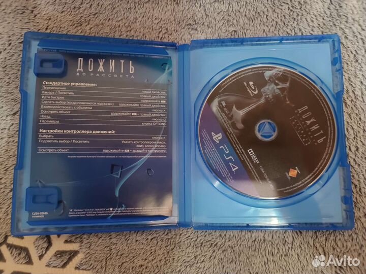 Дожить до рассвета