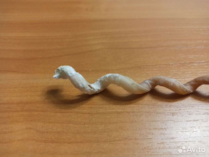 Морская раковина