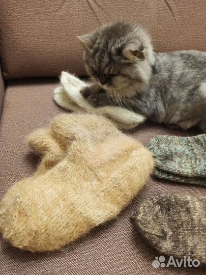 Носки женские из собачьей и овечьей шерсти