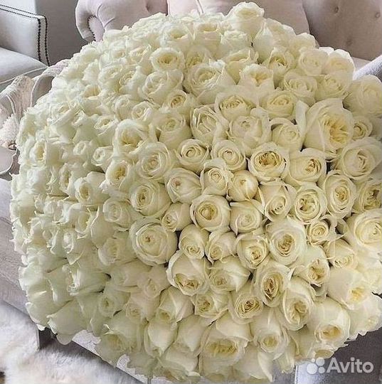 Высокие розы Гигантские розы Доставка цветов