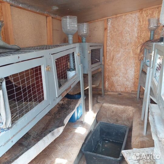 Клетка для кроликов