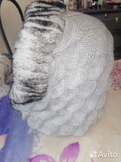 Капр аязанный