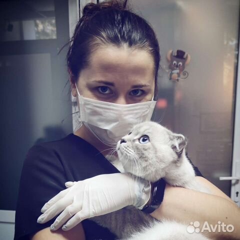 Ветеринарный врач выезд на дом