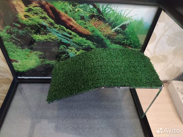 Аквариум для красноухой черепахи 60 л