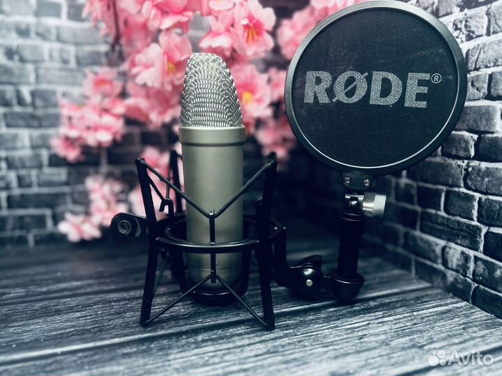 Rode nt1 a