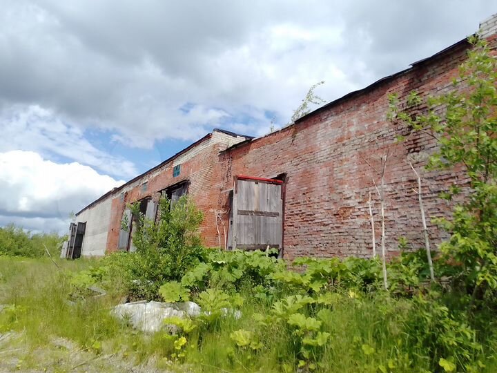 Здание, 1027.8 м² с зу