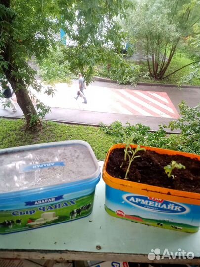 Ящики контейнеры с ручками пластмассовые