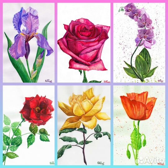 Цветы акварелью Ирис роза орхидея мак Картина