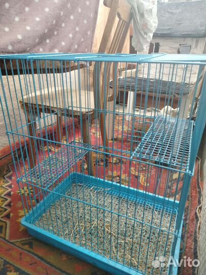 Клетка для грызунов бу