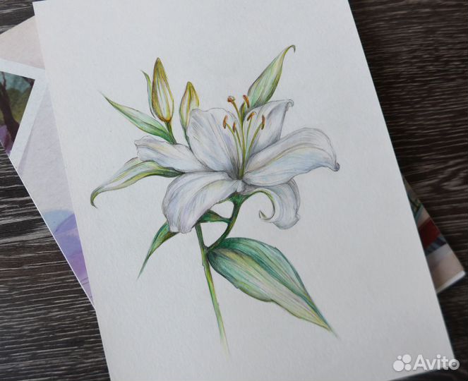 Картина / постер 