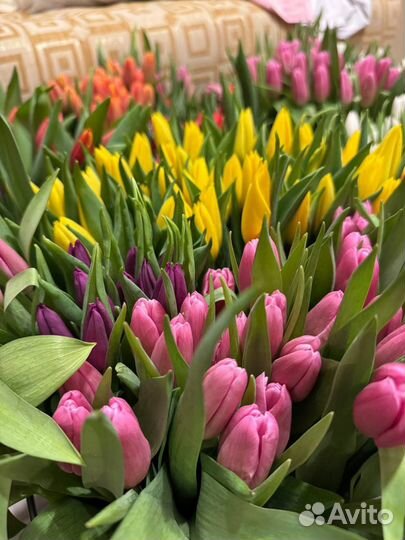 Тюльпаны к 8 марта