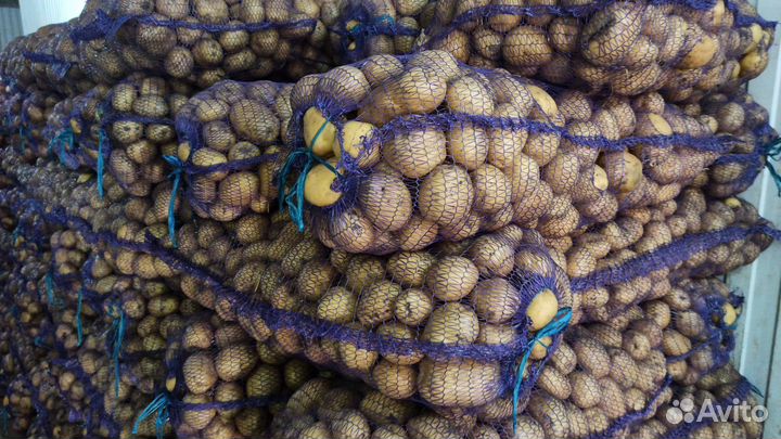 Картошка на еду оптом