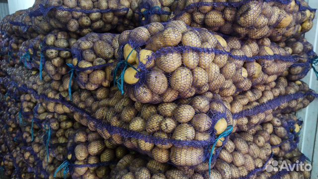 Картошка на еду оптом