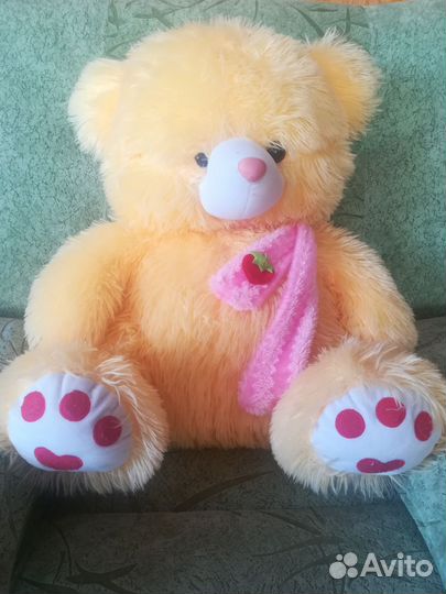 Большой медвежонок