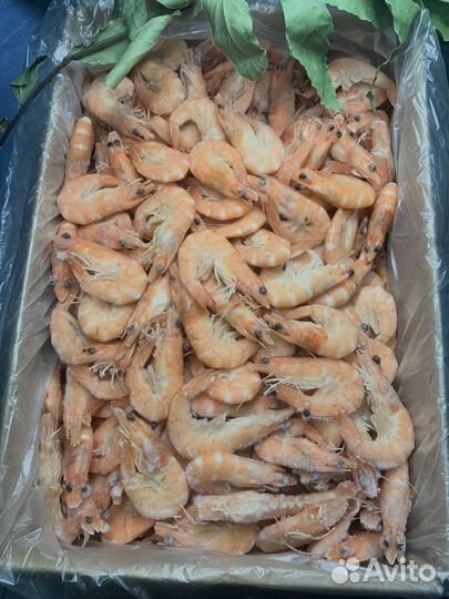 Креветки королевские и северные