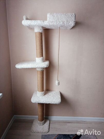 Когтеточка