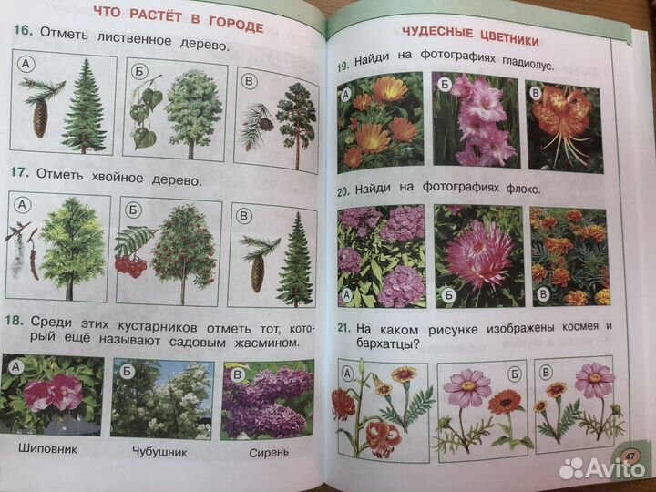 Рабочая тетрадь