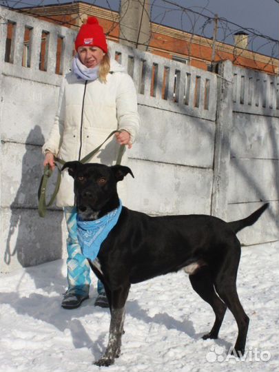 Витас ждет свою любящую семью в приюте