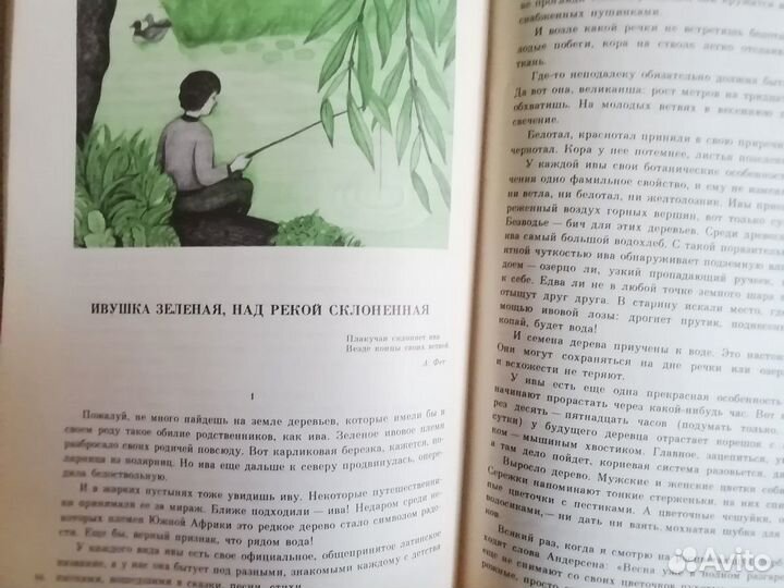 Детские книги О природе