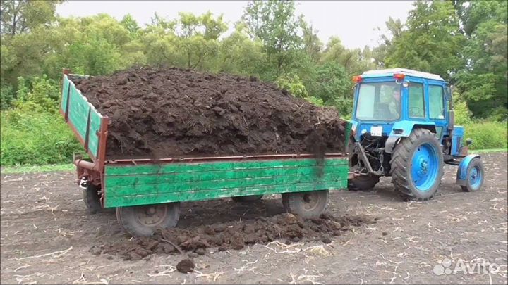 Коровий навоз