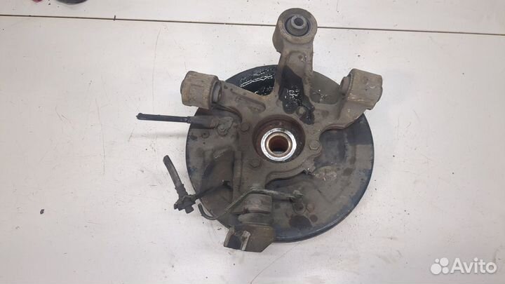 Ступица (кулак, цапфа) левая задняя Suzuki Grand Vitara