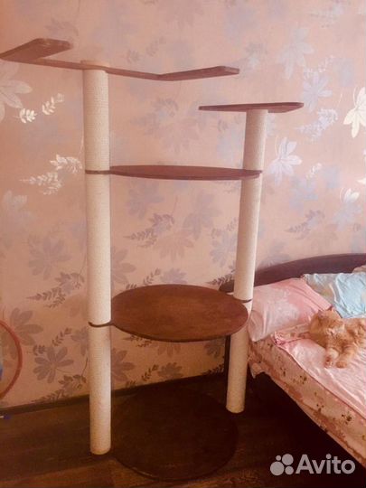 Когтеточка эко в хорошем состоянии