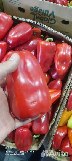 Перец красный сладкий