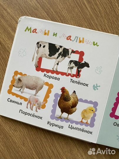 Fisher Price Книги для Юлии