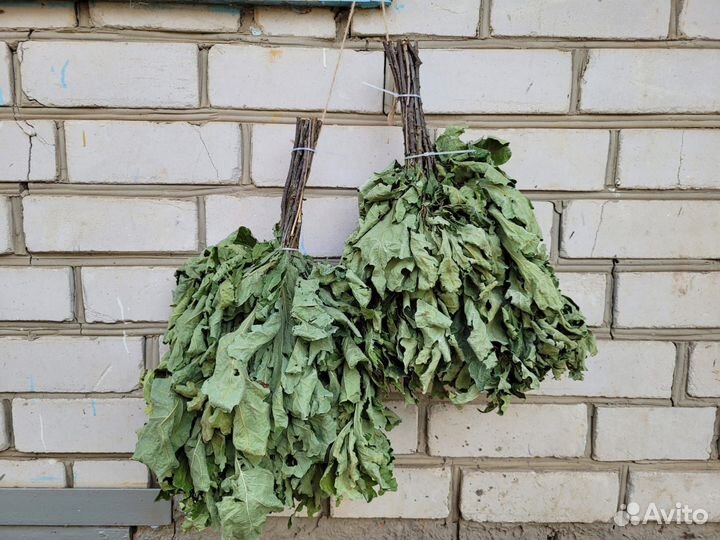 Дубовые веники, березовые веники