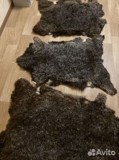 Шкуры длинношерстной козы