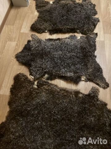 Шкуры длинношерстной козы