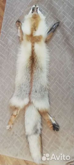 Шкурки лисы