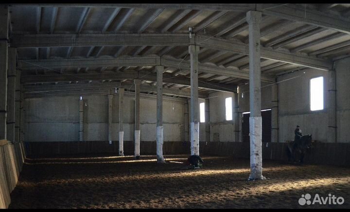 Постой для лошадей